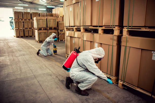 Best Emergency Pest Control  in West Hills, NY