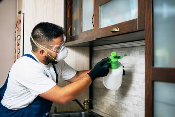 Best Flea Control Services  in West Hills, NY