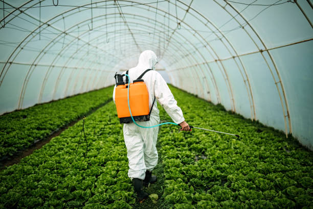 Best Residential Pest Control  in West Hills, NY