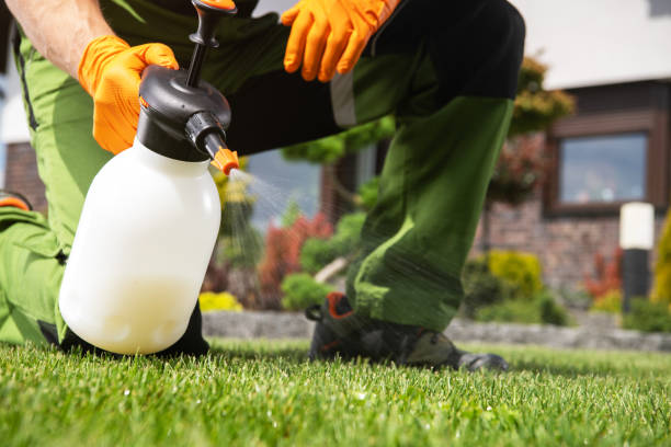 Best Pest Control Near Me  in West Hills, NY