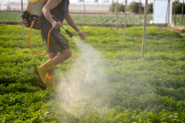 Best Ant Control Services  in West Hills, NY