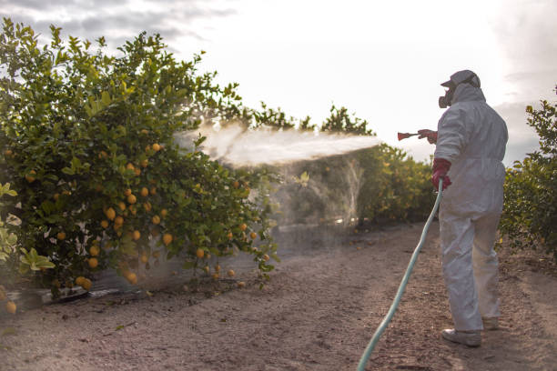 Best Pest Control for Restaurants  in West Hills, NY