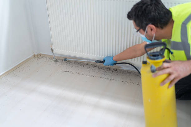 Best Emergency Pest Control  in West Hills, NY