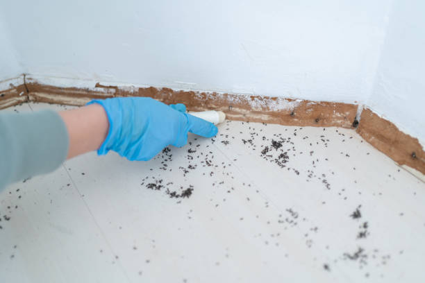 Best Pest Prevention Services  in West Hills, NY